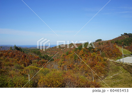 三陸の秋田野畑村 60465453