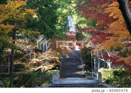 興国寺 60465479