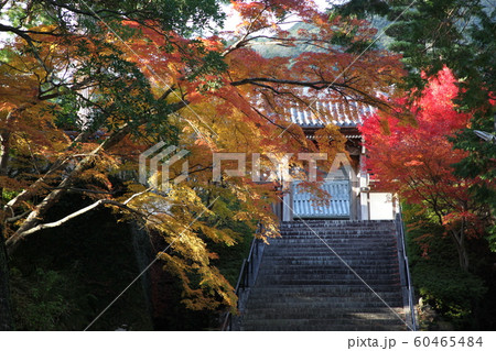 興国寺 60465484