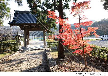興国寺 60465703
