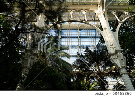Palm house at Schonbrunn Palace 60465860