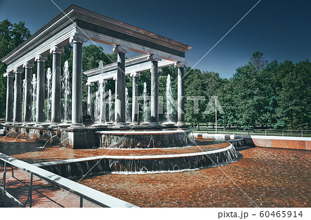 Lion Cascade in Pertergof, Saint-Petersburg. 60465914