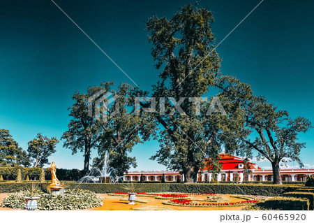 Garden of Monplaisir palace. Peterhof. Garden of Monplaisir palace. Peterhof. 60465920
