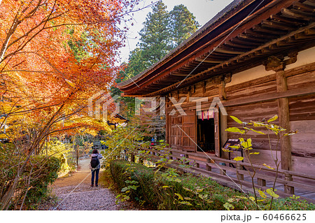滋賀県　湖南三山の一つ　紅葉の美しい長寿寺の本堂 60466625