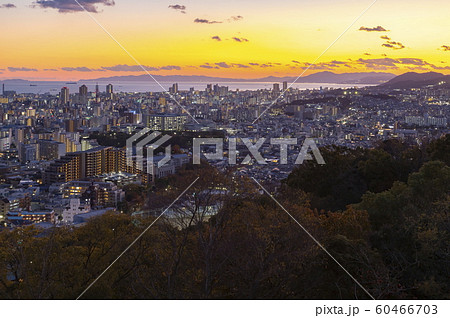 神戸の夕景、神戸市中央区諏訪山から兵庫区・長田区方面を望む 60466703