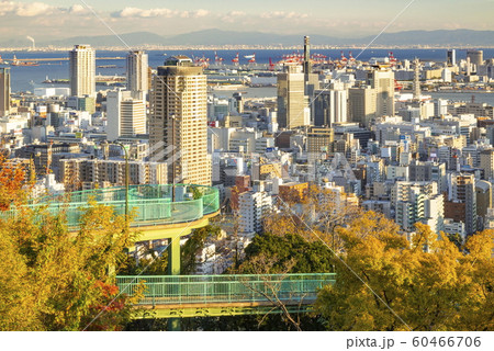 夕日を浴びた神戸の街、神戸市中央区諏訪山公園にて 60466706