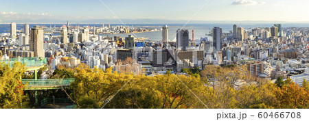 夕日を浴びた神戸の街、神戸市中央区諏訪山公園にて 60466708