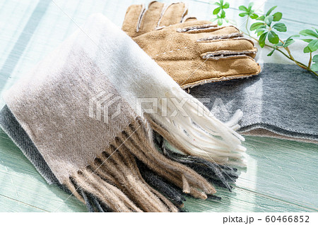 【Vivienne Westwood】マフラーと手袋