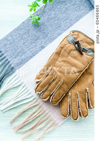 マフラーと手袋 マフラーと手袋 60466865