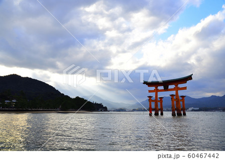 広島県 宮島 厳島神社 嚴島神社 の大鳥居の写真素材