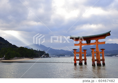 広島県 宮島 厳島神社 嚴島神社 の大鳥居の写真素材