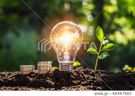energy concept. eco power. lightbulb with money 60467665