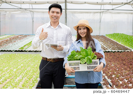 Manufacturers send baskets organic vegetables for 60469447