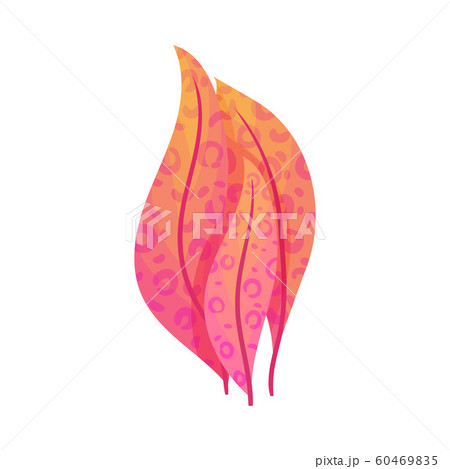 Abstract Plant Isolated on White Background. Decorative Floral Element 60469835