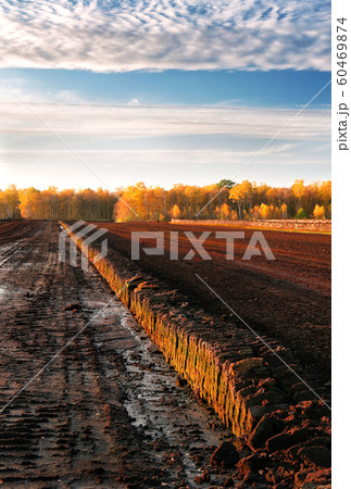 Rows of cutted peat at an excavation side in a peat bog at Northwestern Germany Rows of cutted peat at an excavation side in a peat bog at Northwestern Germany 60469874