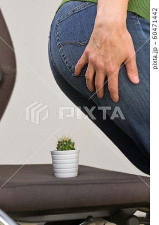 Woman Suffering From Hemorrhoids And Thorny Cactus Woman Suffering From Hemorrhoids And Thorny Cactus 60471442