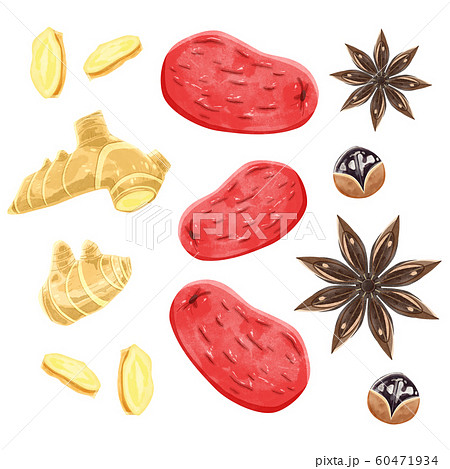 漢方生薬の夏目と生姜と八角 60471934