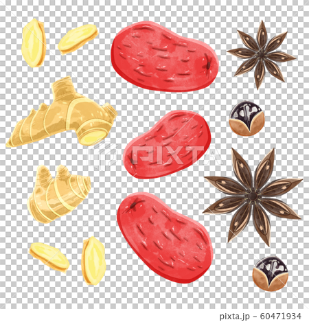 漢方生薬の夏目と生姜と八角 60471934