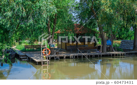 Danube River near the village of Vilkovo, Ukraine 60473431
