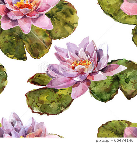 Water lily leaves and flowers bouquet. Hand drawing watercolor pink and purple and green flowers ornament 60474146