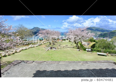 【愛媛】春の宇和島城（桜満開） 60474481