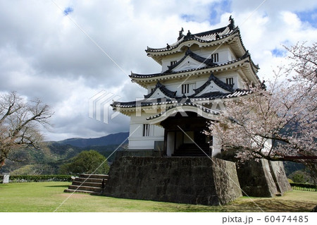【愛媛】春の宇和島城（天守と桜） 60474485