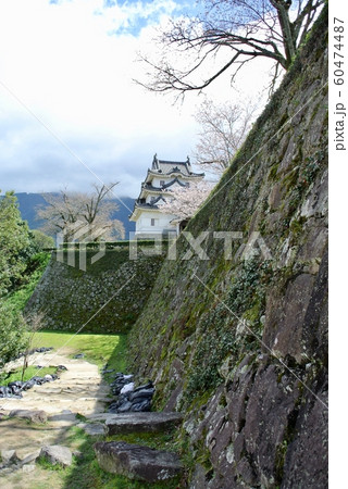 【愛媛】春の宇和島城(天守と桜と石垣) 【愛媛】春の宇和島城(天守と桜と石垣) 60474487