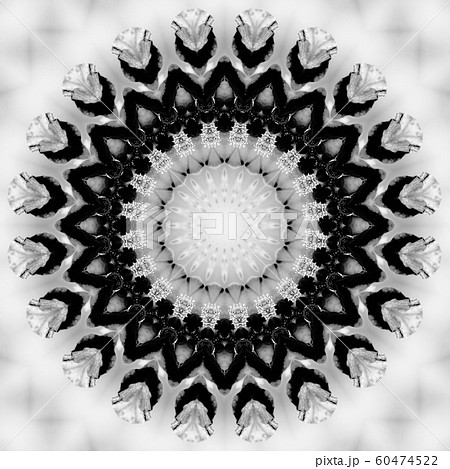 Floral kaleidoscopic pattern. Monochrome geometric ornament . Mandala . Abstract black and white background Floral kaleidoscopic pattern. Monochrome geometric ornament . Mandala . Abstract black and white background 60474522