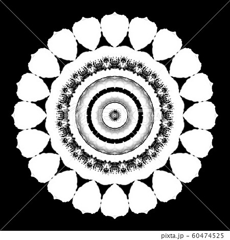 Floral kaleidoscopic pattern. Monochrome geometric ornament . Mandala . Abstract black and white background 60474525
