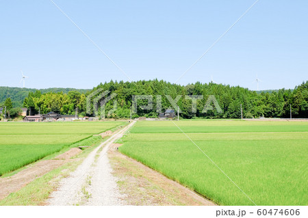 夏の農村風景 夏の農村風景 60474606