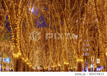 仙台光のページェント 　仙台市 60474625