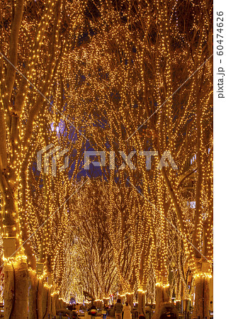 仙台光のページェント 　仙台市 60474626