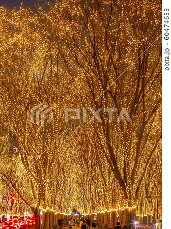 仙台光のページェント 仙台市 仙台光のページェント 仙台市 60474633