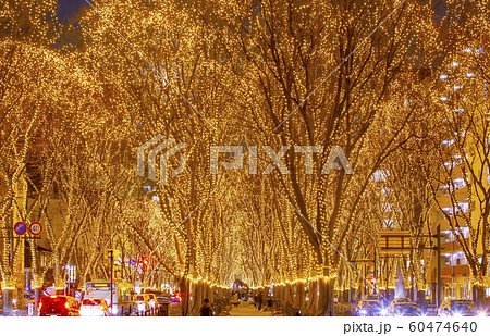 仙台光のページェント 　仙台市 60474640