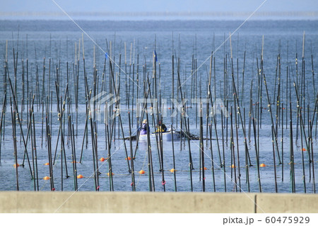 大牟田市　三池港　海苔船、 60475929