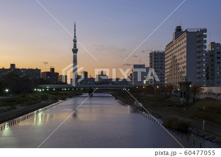 夕景 東京スカイツリーと旧中川付近の街並み 夕景 東京スカイツリーと旧中川付近の街並み 60477055