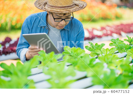 Portrait of young smart farmer using digital 60477152