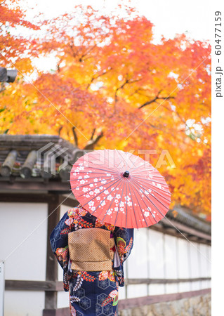 Geishas girl wearing Japanese kimono among red Geishas girl wearing Japanese kimono among red 60477159