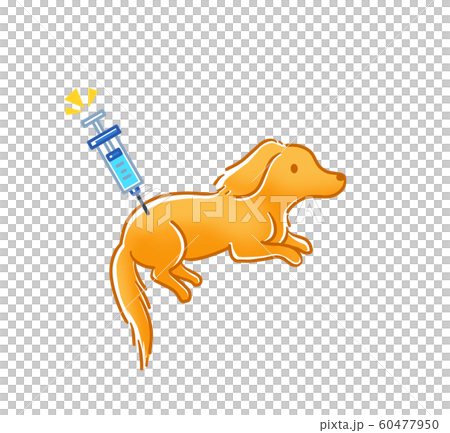 Dog injection Dog injection 60477950