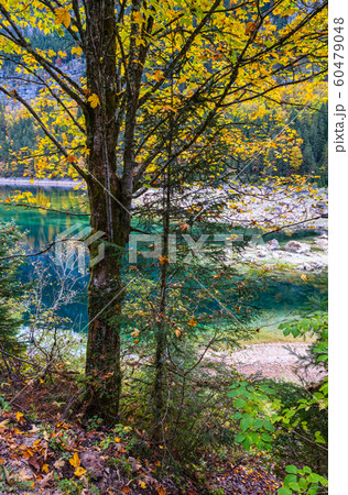 Peaceful autumn Alps mountain lake with clear 60479048