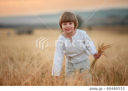 A country boy 6 years old walks through an agricultural wheat field 60480553