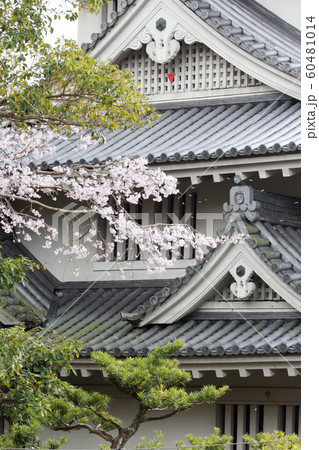 桜　お城 60481014