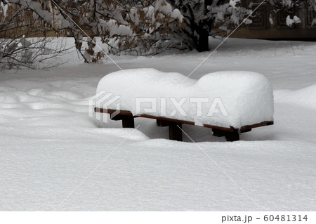 Covered with a large layer of snow bench in the city park Covered with a large layer of snow bench in the city park 60481314