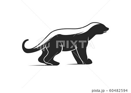 ferret, squirrel logo Designs Inspiration Isolatedのイラスト素材 [60482594] - PIXTA