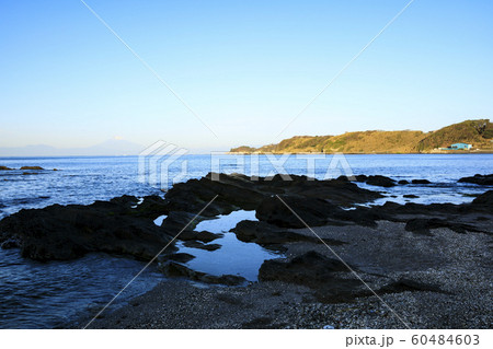 湘南（秋） 60484603