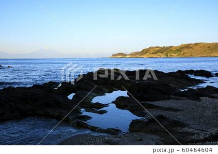 湘南（秋） 60484604