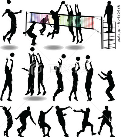 volleyball player 60485436