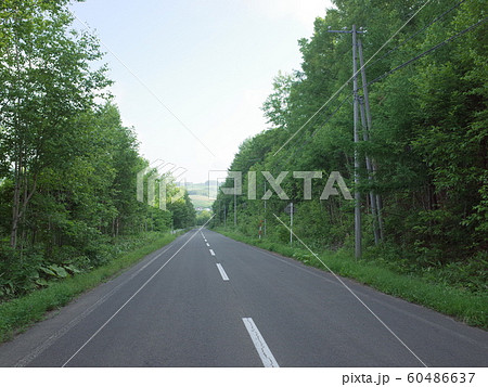 田舎道_富良野 田舎道_富良野 60486637