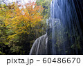 紅葉と滝 60486670
