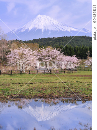 大渕公園からの風景-223060 60486815